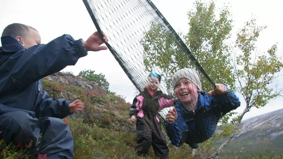 Få ulykker: En fersk rapport viser at det skjer få ulykker i norske barnehager, men at de fleste barnehager opplever et økt sikkerhetspress. Enkelte barnehager har sågar innført forbud mot klatring i trær.