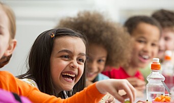 Barnehagemåltidet som kulturell og sosial arena