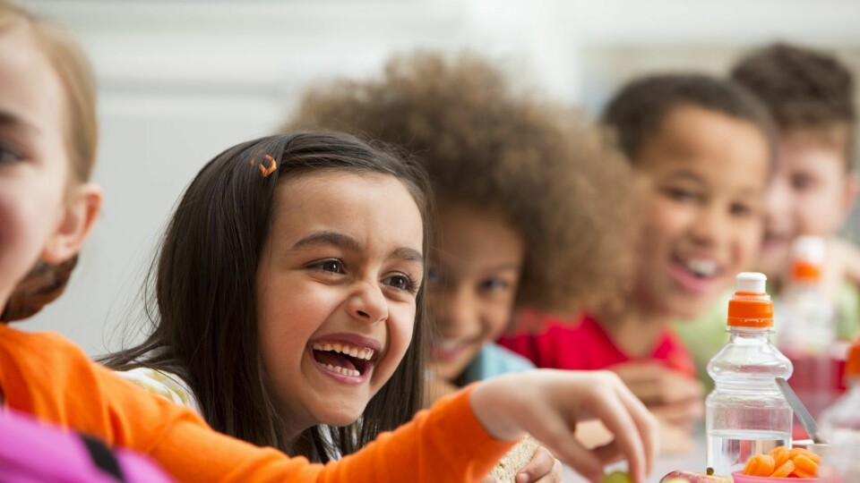 Nå kan du sende inn ditt høringsinnspill om Nasjonal faglig retningslinje for mat og måltider i barnehagen.