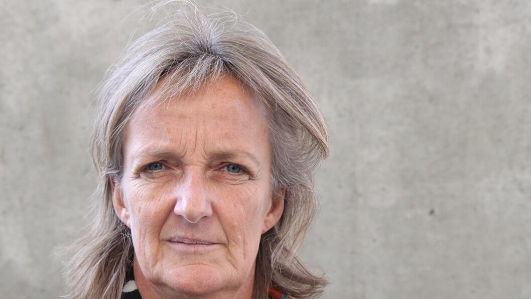 Ingrid Lund: Forsker og førsteamanuensis i pedagogikk ved Universitetet i Agder. Ingrid Lund: Forsker og førsteamanuensis i pedagogikk ved Universitetet i Agder.