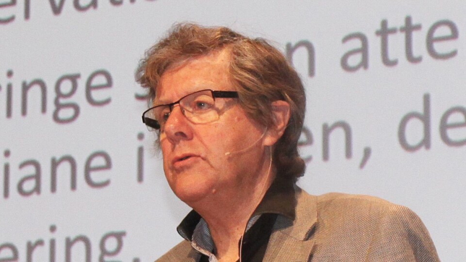 Peder Haug, professor i pedagogikk ved Høgskulen i Volda.