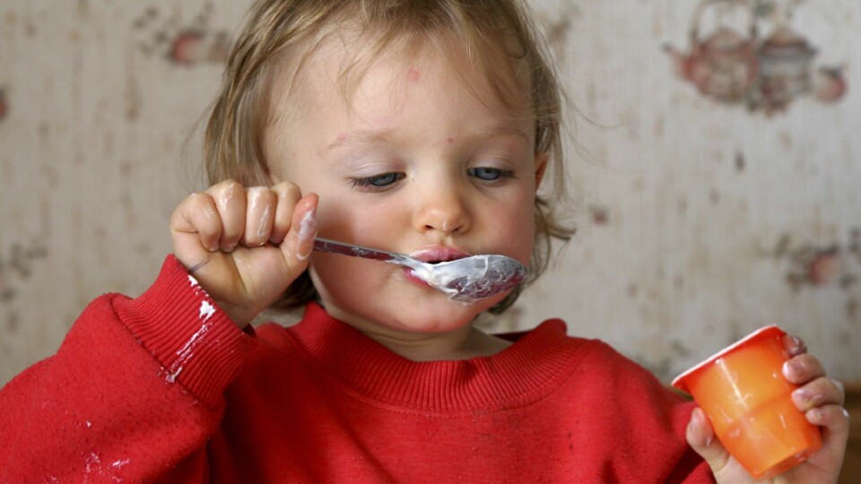 Yoghurt er nå nei-mat i bydel Alnas barnehager i Oslo.