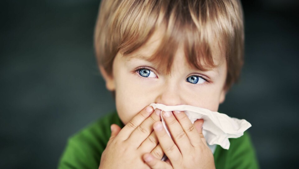 60 barn i Kvinesdal kommune skal testes for tuberkulose.