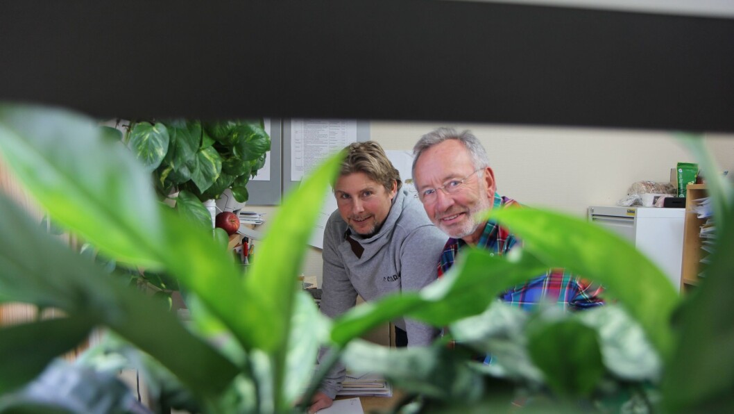 Grønt miljø. Daglig leder i Hundremeterskogen barnehage, Niels Bjørn Olsen, har klart å redusere sykefraværet ved å plante grønne planter og installere dagslys i barnehagen. Her sammen med daglig leder i BioOffice, Jørn Viumdal. Grønt miljø. Daglig leder i Hundremeterskogen barnehage, Niels Bjørn Olsen, har klart å redusere sykefraværet ved å plante grønne planter og installere dagslys i barnehagen. Her sammen med daglig leder i BioOffice, Jørn Viumdal.