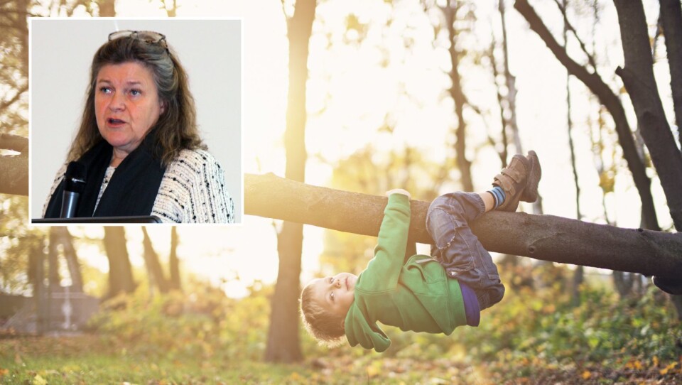Helle Nebelong er landskapsarkitekt, forfatter og foredragsholder.