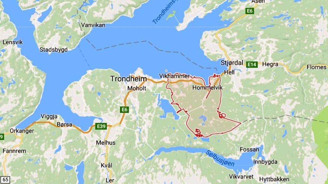 Malvik kommune ligger like ved Trondheim. Malvik kommune ligger like ved Trondheim.