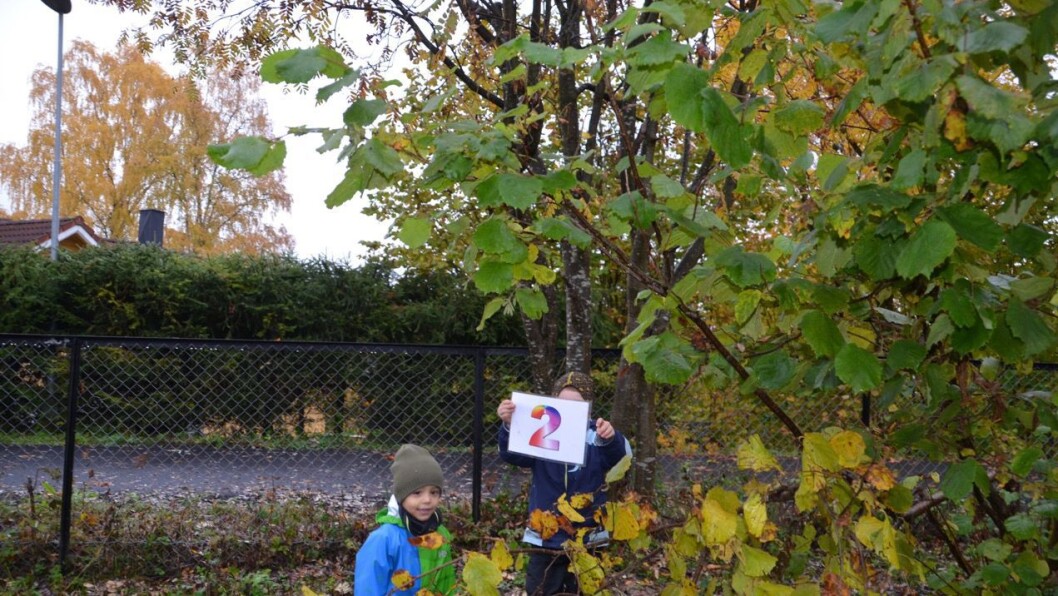 Det er artig å lete etter tall blant busker og trær. Det er artig å lete etter tall blant busker og trær.