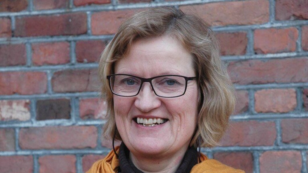 Førsteamanuensis Anne Greve ved Høgskolen i Oslo og Akershus. Førsteamanuensis Anne Greve ved Høgskolen i Oslo og Akershus.