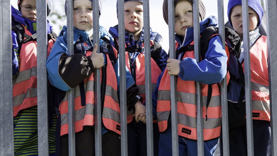 Ansikter bak porten. Hva kikker de på? Hva venter de på? Kanskje skal de ut på tur?
