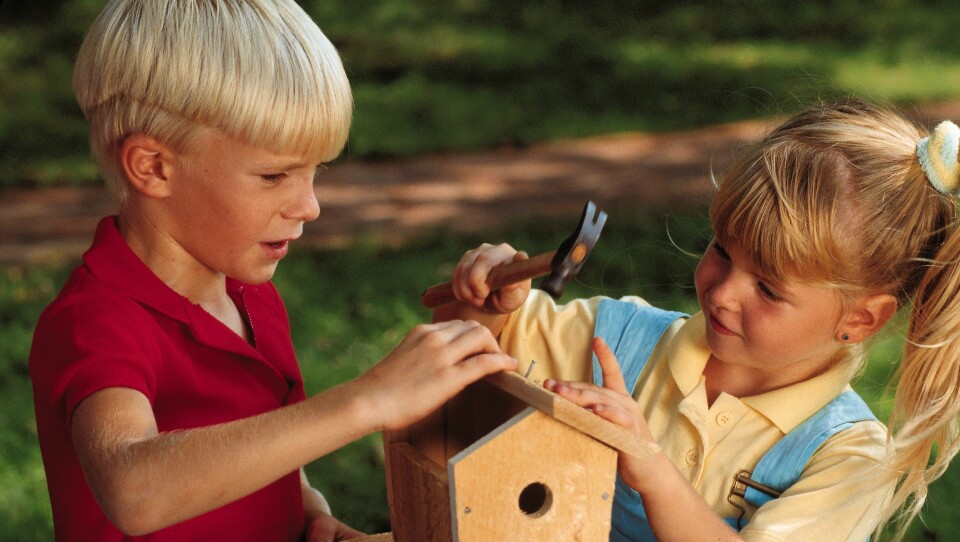 Trearbeid i barnehagen er viktig for utvikling av barns motorikk.