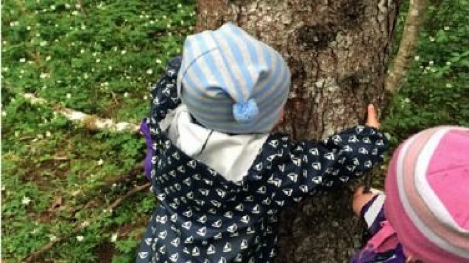 Fysisk kontakt med trærne er noe små barn kan relatere til.