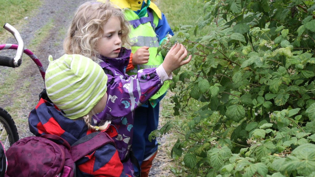 Barna i Margarinfabrikken utforsket livet i Geitmyra skolehage sammen med gartner Liv Derås Bjørnstad. Barna i Margarinfabrikken utforsket livet i Geitmyra skolehage sammen med gartner Liv Derås Bjørnstad.