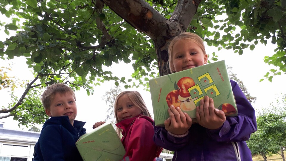 Barna i Norlandia Nilsemarka barnehage følger eplene helt fra blomstring og til ferdig juice. Eplehagen med 20 trær gir nesten ubegrensede muligheter til pedagogisk arbeid for barnehagen i Asker.