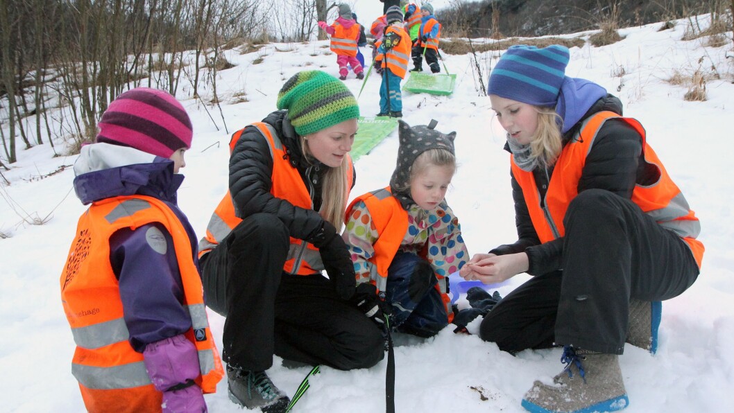 En elgbæsj i skogen er en gyllen mulighet til en liten naturfagtime på vei til akebakken med Norlandia Stordalen barnehage. Fra venstre Anna, daglig leder Hedda Eldøen, Tora og pedagogisk leder Hanne-Terese Fagerli. En elgbæsj i skogen er en gyllen mulighet til en liten naturfagtime på vei til akebakken med Norlandia Stordalen barnehage. Fra venstre Anna, daglig leder Hedda Eldøen, Tora og pedagogisk leder Hanne-Terese Fagerli.