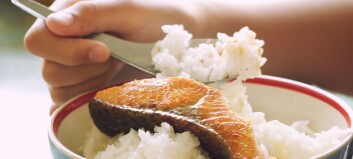 Ny studie: Barn som spiser feit fisk har bedre kognitive evner
