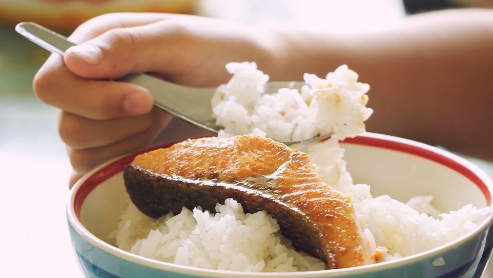 En ny studie viser sammenheng mellom å spise feit fisk og hvor fort barna jobbet kognitivt. Illustrasjonsfoto: Gettyimages