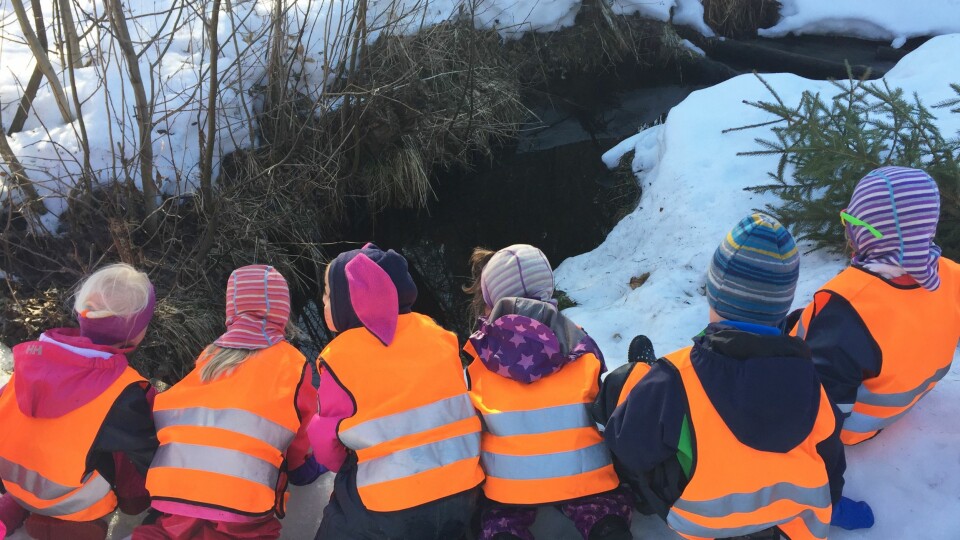 Barna oppdager hulen til selveste Lurvelegg.