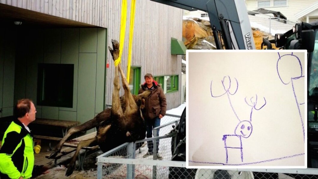 Tirsdag i forrige uke falt elgen ned rett foran hovedinngangen til småbarnsavdelingen i Augerød barnehage. Siden har det handlet mest om elg i barnehagen. Foto: Nina Gullberg, Augerød barnehage Tirsdag i forrige uke falt elgen ned rett foran hovedinngangen til småbarnsavdelingen i Augerød barnehage. Siden har det handlet mest om elg i barnehagen. Foto: Nina Gullberg, Augerød barnehage