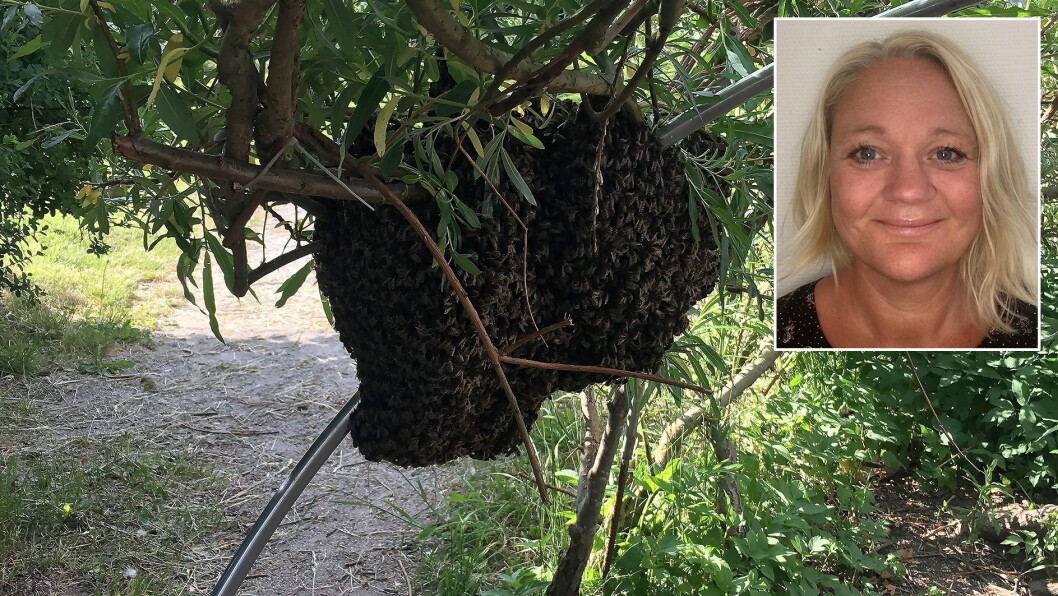Styrer Margareth Olsen i Molkeholen barnehage på Madla i Stavanger måte håndtere en sjelden utfordring mandag denne uka. Foto: privat Styrer Margareth Olsen i Molkeholen barnehage på Madla i Stavanger måte håndtere en sjelden utfordring mandag denne uka. Foto: privat