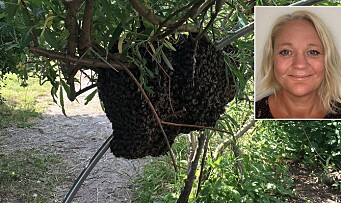 Margareth skjønte lite da flere tusen bier slo seg ned i barnehagen