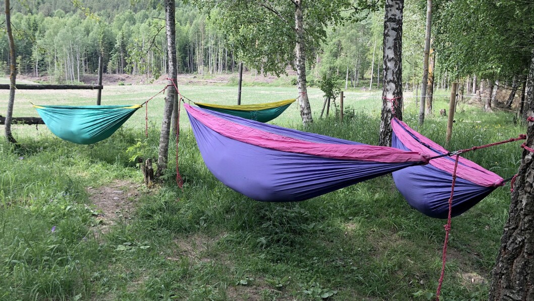 Slik ser det ut i skogen når de minste har sovestund. Slik ser det ut i skogen når de minste har sovestund.