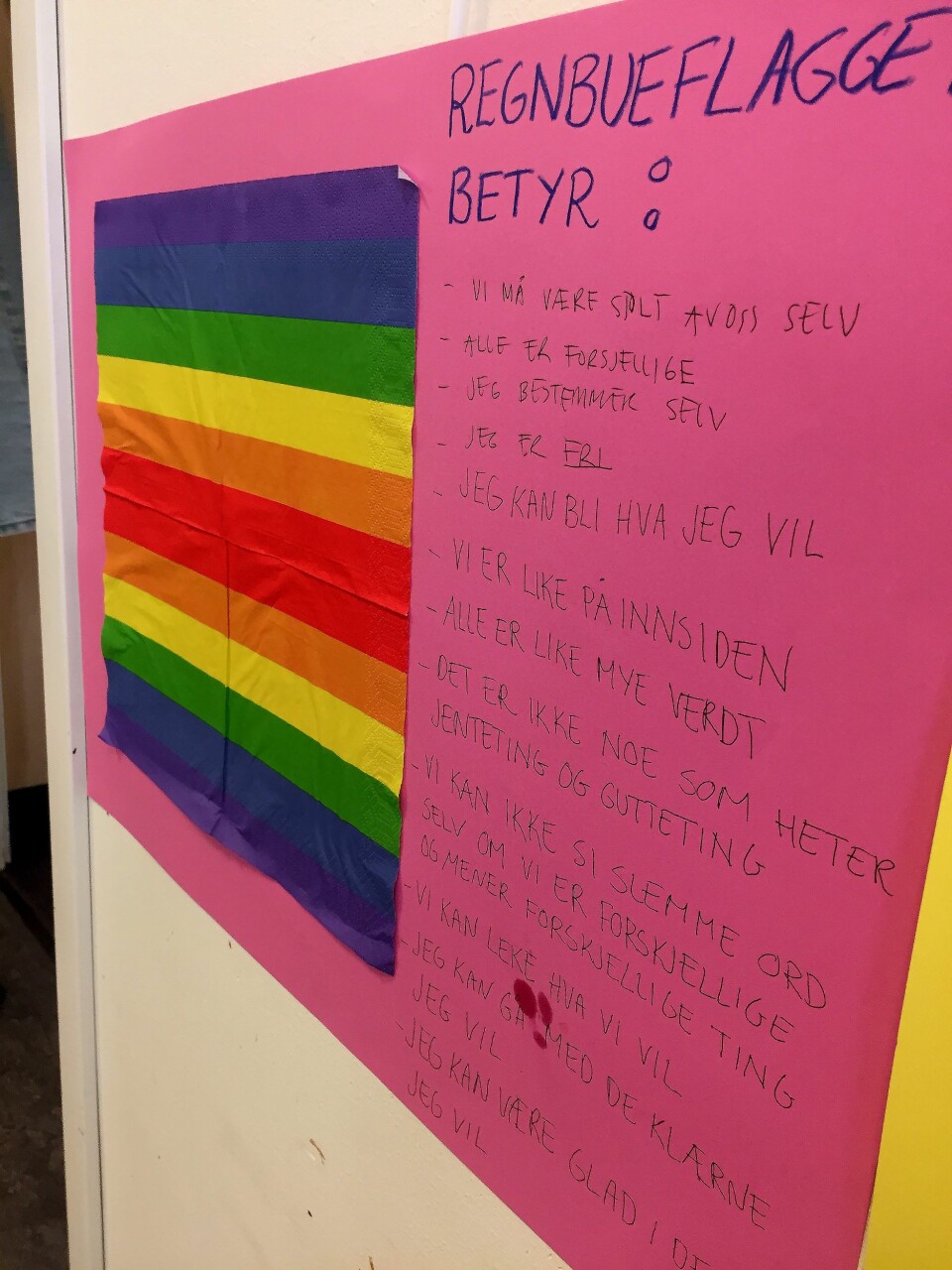 Det er verdiene i regnbueflagget barnehagen vektlegger mest - og den avviser at det er homokamp det dreier seg om.