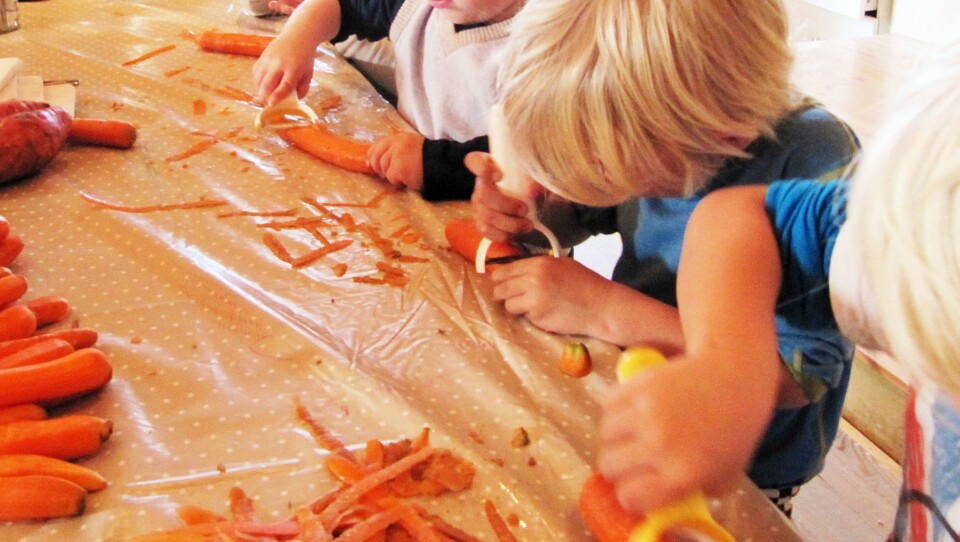 Det er store forskjeller i mattilbudet i norske barnehager. Bildet er hentet fra Soria Moria steinerbarnehage som har fokus på økologisk og vegetarisk mat laget fra bunn av, og som barna er med på å tilberede.