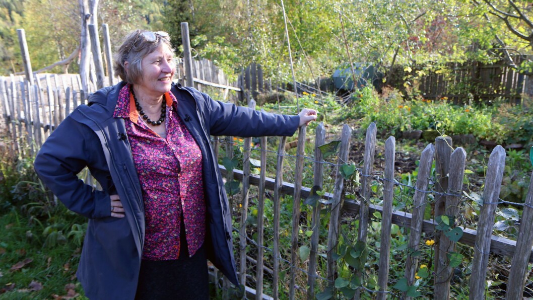 Askeladden Steinerbarnehage har blant annet sin egen kjøkkenhage, og høner på tunet. Daglig leder Astrid Sund har drevet miljøvennlig og økologisk i 35 år. Askeladden Steinerbarnehage har blant annet sin egen kjøkkenhage, og høner på tunet. Daglig leder Astrid Sund har drevet miljøvennlig og økologisk i 35 år.