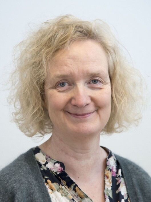 Kommunaldirektør Camilla Nereid. Kommunaldirektør Camilla Nereid.