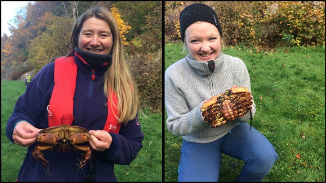 Hege Eliassen og Grethe Vannes jobber i Åsane Gårds- og friluftsbarnehage. I dette innlegget setter de ord på verdien det har for barn å få bruke sjøen når de går i barnehagen. Hege Eliassen og Grethe Vannes jobber i Åsane Gårds- og friluftsbarnehage. I dette innlegget setter de ord på verdien det har for barn å få bruke sjøen når de går i barnehagen.