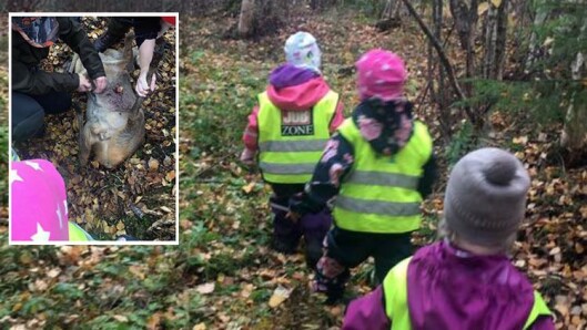 Barna i Eidskog var på trygg avstand da det smalt, men fikk følge med på den spennende jakten. Barna i Eidskog var på trygg avstand da det smalt, men fikk følge med på den spennende jakten.