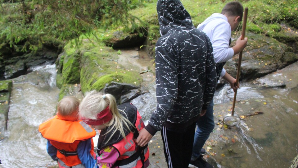 Førskolebarn fra barnehagene Finlandsskogen, Lindormen og Solhaug og åttendeklassinger fra Kirkelund skole har dratt på flere ekskursjoner sammen som en del av vannprosjektet til de tre barnehagene. Her utforskes Finndalsbekken.