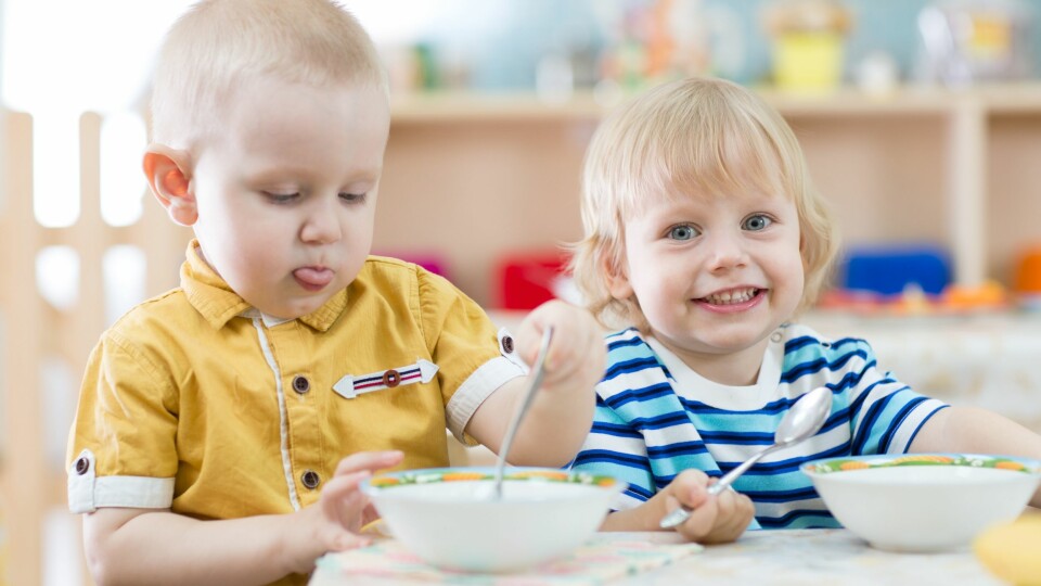 Helsedirektoratets anbefalinger for mat og måltider i barnehagen er oppdatert.