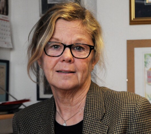Reagerer: Universitetslektor Tone Strømøy ved barnehagelærerutdanningen ved OsloMet. Reagerer: Universitetslektor Tone Strømøy ved barnehagelærerutdanningen ved OsloMet.