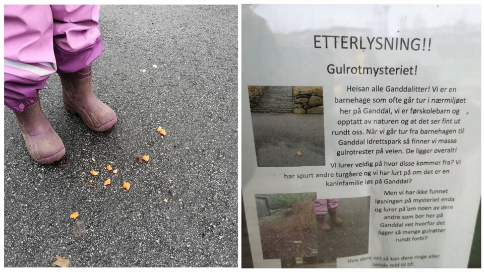 – Barna har hatt det utrolig gøy med å etterforske gulrotmysteriet når de har vært på tur, sier daglig leder Margrethe Håland i Lundehagen FUS barnehage.