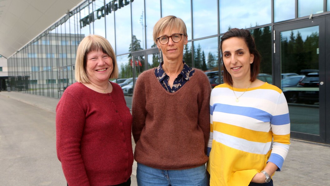 Fra venstre: Styrer Unni Sirevåg Lende i Espira Ormedalen barnehage, styrer Heidi Davidsen i Espira Åbol barnehage og styrer Kathy Dayvary Larsen i Espira Torshovdalen barnehage. Fra venstre: Styrer Unni Sirevåg Lende i Espira Ormedalen barnehage, styrer Heidi Davidsen i Espira Åbol barnehage og styrer Kathy Dayvary Larsen i Espira Torshovdalen barnehage.
