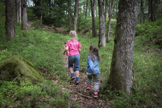 I Skoie Gårdsbarnehage har barna et enormt område å boltre seg på. Her er Mriam Ødegård og Victoria Angelica Ramsdal på vei for å finne et egnet klatretre. I Skoie Gårdsbarnehage har barna et enormt område å boltre seg på. Her er Mriam Ødegård og Victoria Angelica Ramsdal på vei for å finne et egnet klatretre.