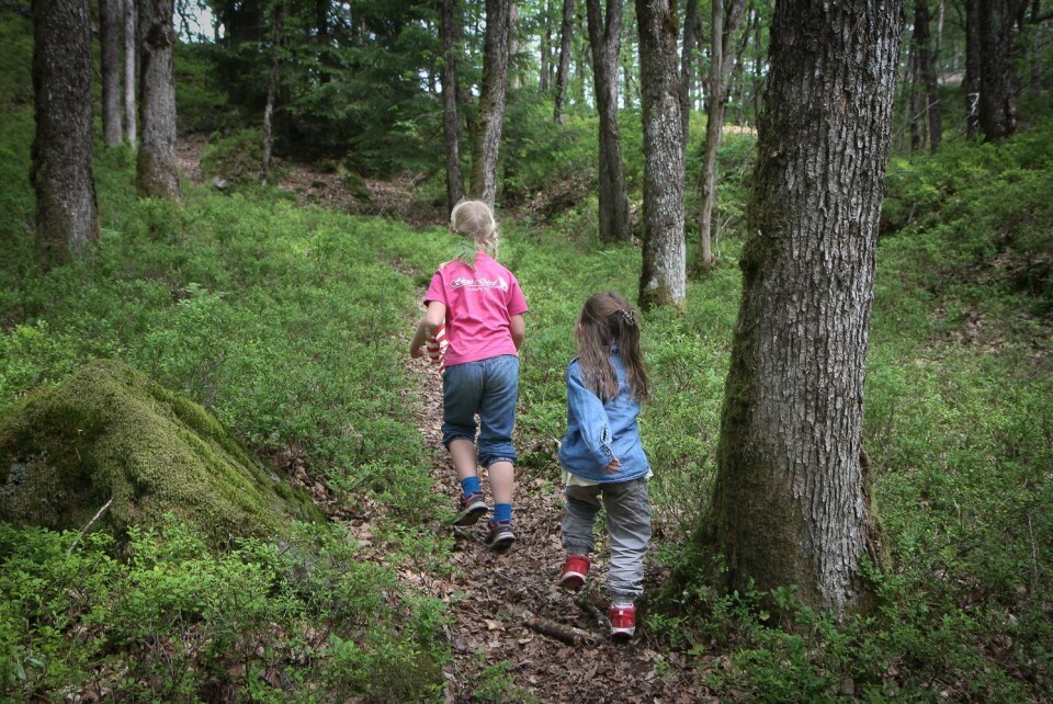 I Skoie Gårdsbarnehage har barna et enormt område å boltre seg på. Her er Mriam Ødegård og Victoria Angelica Ramsdal på vei for å finne et egnet klatretre.