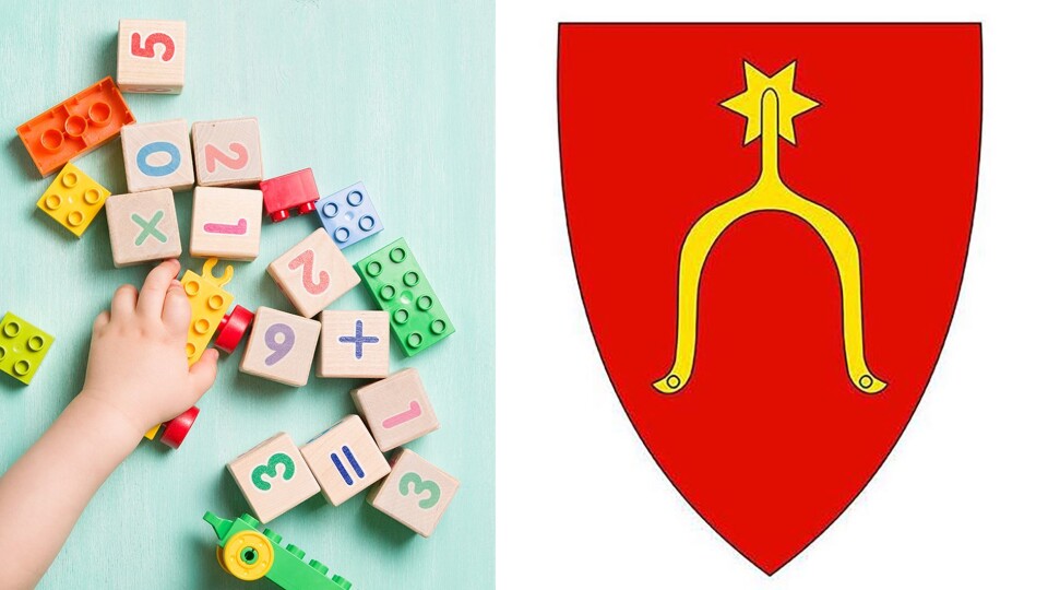 1. januar 2020 slås Moss og Rygge sammen til nye Moss kommune. Mye vil sikkert bli bra i den nye kommunen, men tro ikke at sammenslåingen sikrer barnehagebarna et like godt tilbud på hver sin side av de gamle kommunegrensene, skriver Royne Berget.