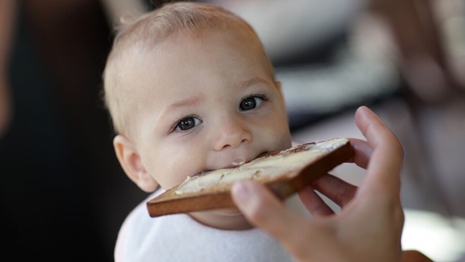 Høyt gluteninntak ved 18 måneders alder er forbundet med økt risiko for cøliaki