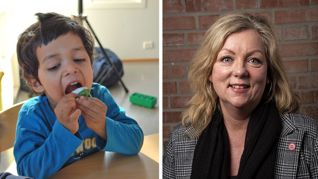 Sissel H. Helland har tatt doktorgraden med avhandlingen Matmot i barnehagen – En studie av toåringers matneofobi og kosthold og hvordan dette kan endres. Bildet er fra Hokus Pokus barnehage i Grimstad, en av barnehagene som deltok. Sissel H. Helland har tatt doktorgraden med avhandlingen Matmot i barnehagen – En studie av toåringers matneofobi og kosthold og hvordan dette kan endres. Bildet er fra Hokus Pokus barnehage i Grimstad, en av barnehagene som deltok.