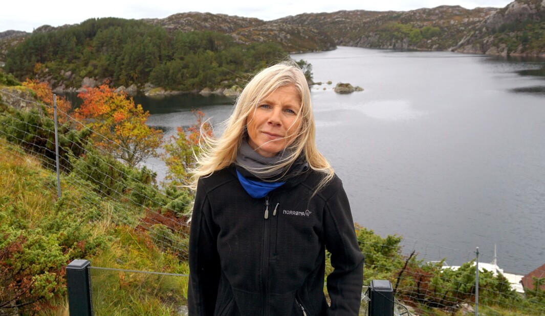 – Midt opp i denne galskapen der vi lurer på om vi overlever økonomisk, vil Guri at vi skal gjøre en vurdering av norskkunskapene til alle barn i barnehagene, skriver Lise Lauvik. – Midt opp i denne galskapen der vi lurer på om vi overlever økonomisk, vil Guri at vi skal gjøre en vurdering av norskkunskapene til alle barn i barnehagene, skriver Lise Lauvik.