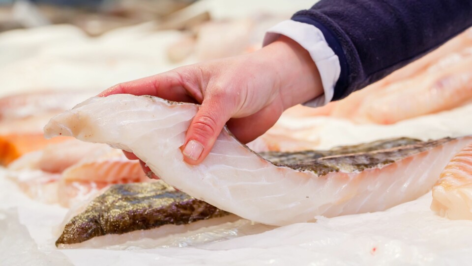 Berg Seafood AS og Svolvær Seafood AS har gått sammen om å donere vekk fiskefilet til over 50.000 kroner til barnehager i Lofoten