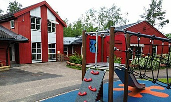 Spyttet på flere av barnehagens klatrestativ – er anmeldt