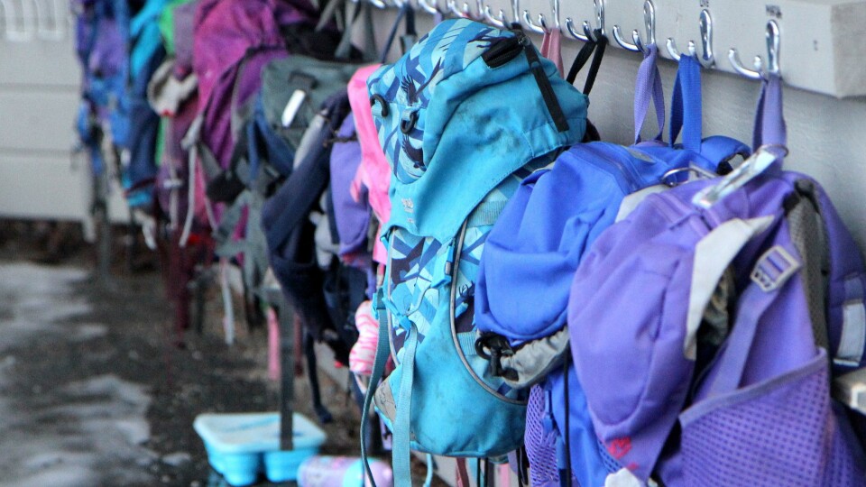 BDO har skrevet en rapport som har sett nærmere på organiseringen av barnehagene på oppdrag fra KD.