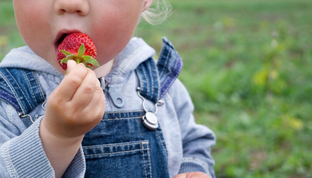 Kan barnehager arrangere sommeravslutninger også i år? Ja, sier Folkehelseinstituttet. Kan barnehager arrangere sommeravslutninger også i år? Ja, sier Folkehelseinstituttet.