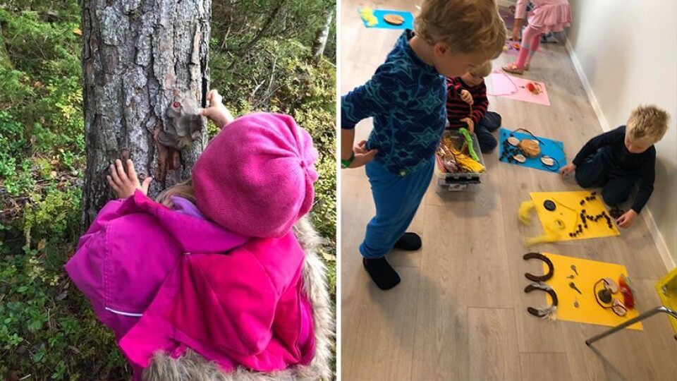 – «Smak på naturen» har vært hovedtema, og vi har hatt om eventyr i naturen, livet i fjæra og om ulike naturfenomen. Vi har utforsket hva naturen kan gi oss av formingsmateriell og inspirasjon, sier pedagogisk leder Hanne Rønning i Vasset barnehage.