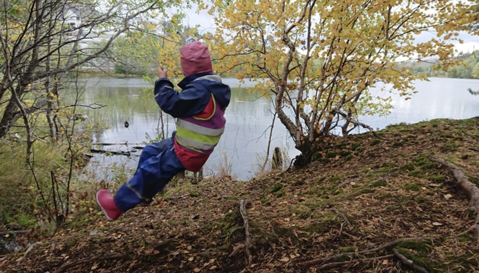 100% vikariat som barnehagelærer og 60% vikariat som fagarbeider/assistent