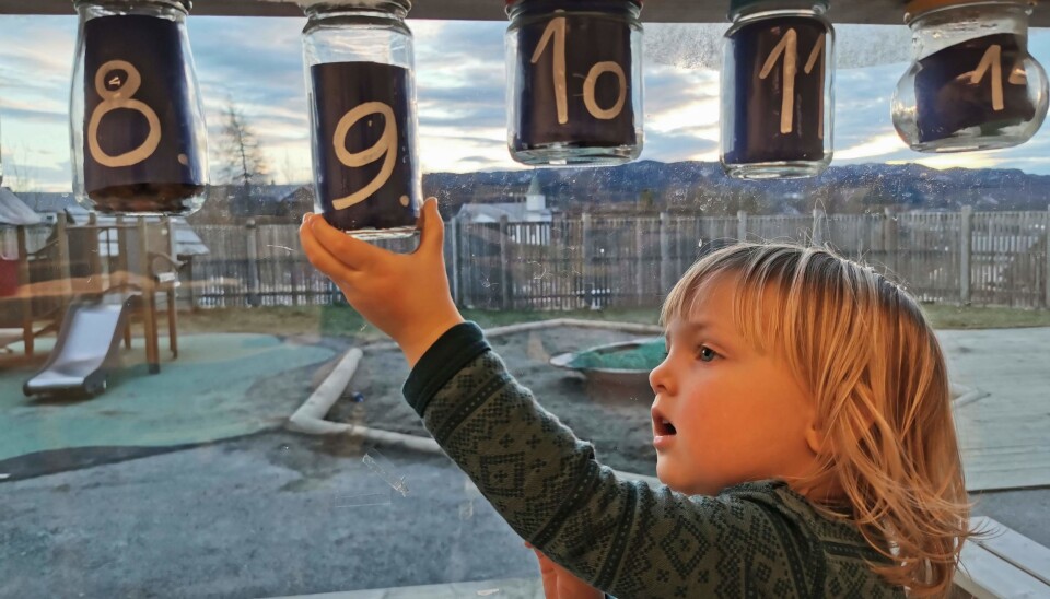 Sansekalenderen inneholdt nellikspiker, klementinskall, grønnsåpe, safran, rødkål, granbar og mange andre typiske julematerialer.