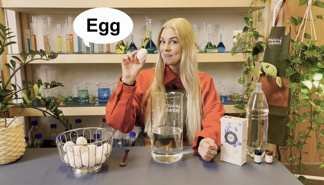 <span class=" italic" data-lab-italic_desktop="italic">Egg er en naturlig ingrediens i forsøkene Oda Bjerknes skal gjøre i laboratoriet denne påsken.</span> <span class=" italic" data-lab-italic_desktop="italic">Egg er en naturlig ingrediens i forsøkene Oda Bjerknes skal gjøre i laboratoriet denne påsken.</span>